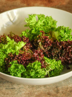Lettuce leaves