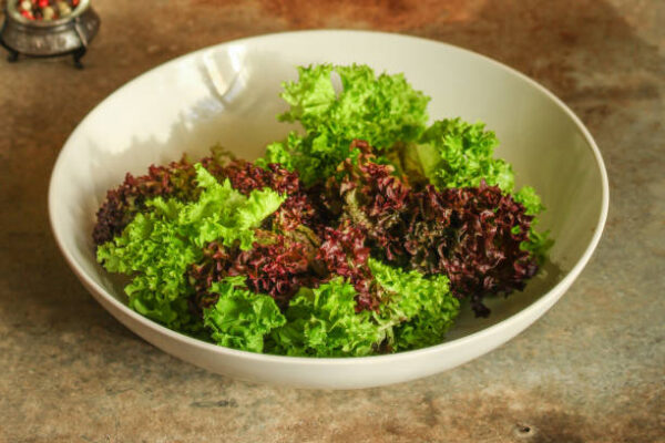 Lettuce leaves