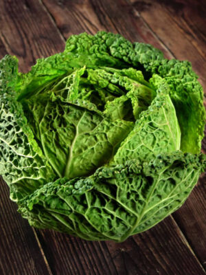 Single green savoy cabbage lettuce head on dark wooden board