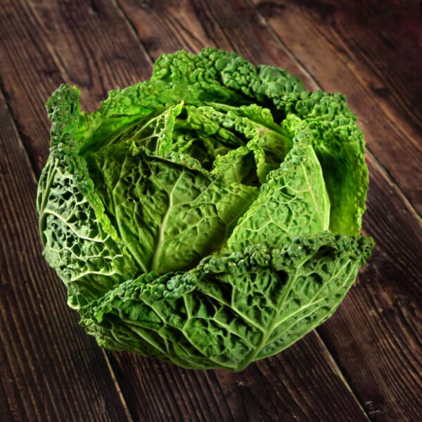 Single green savoy cabbage lettuce head on dark wooden board